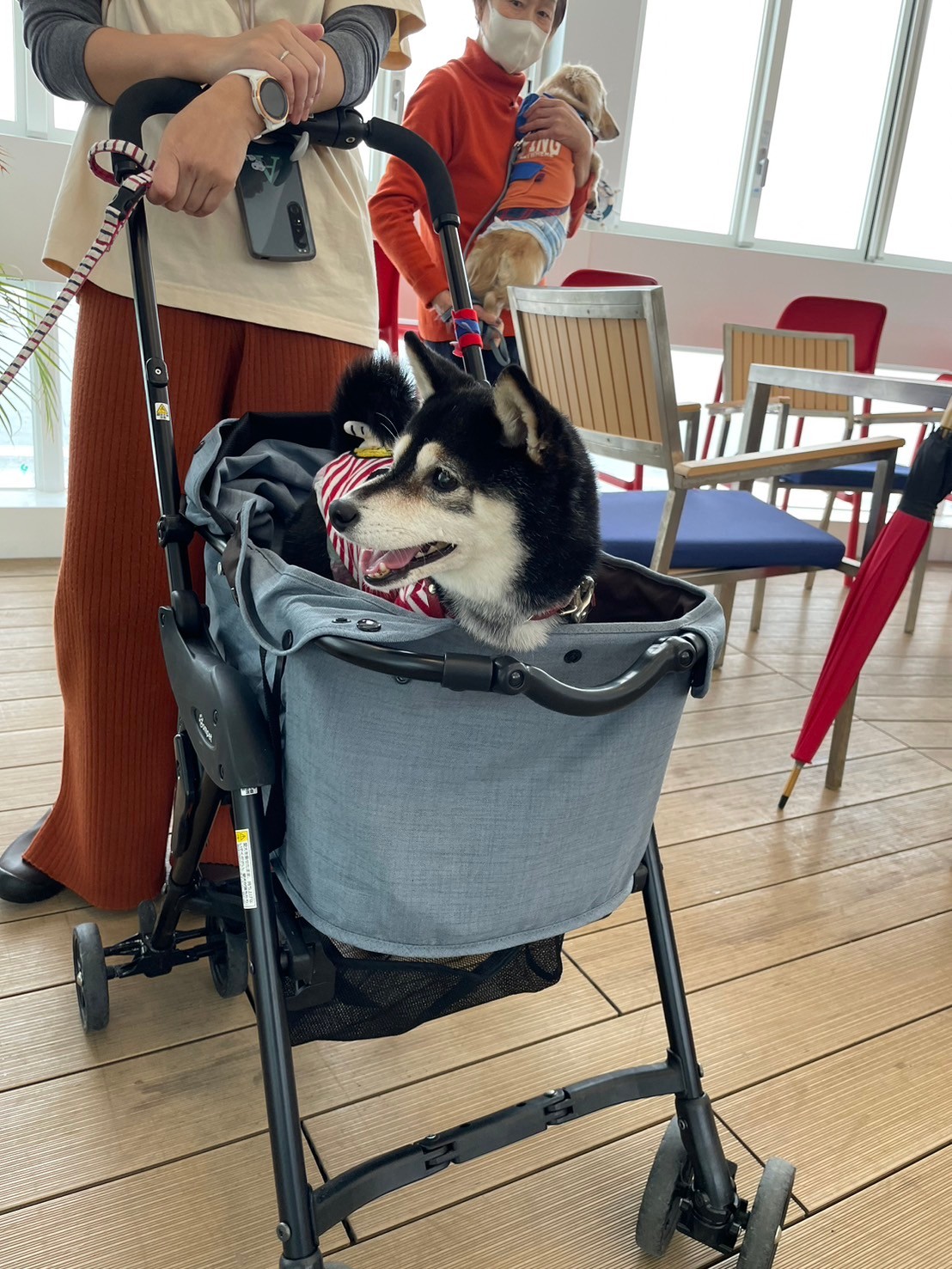LINE_ALBUM_2024323初めてのバスツアー淡路島_240324_128