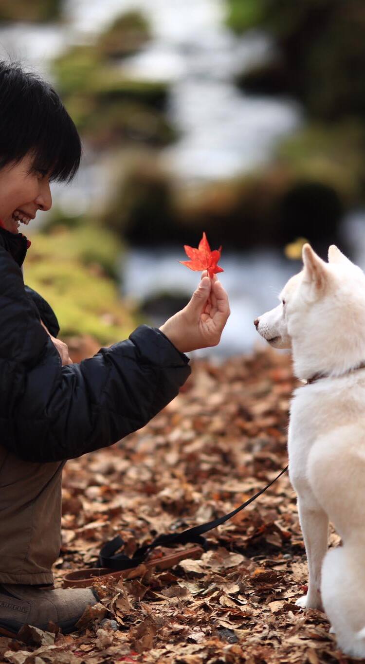 47105221_988615487993536_2424487400546762752_o (2)