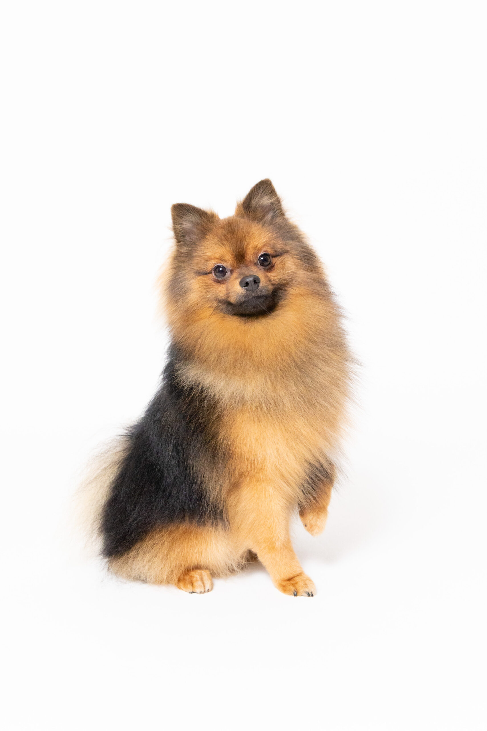 CBE4FDC673C9CC7E43E4B49C13934664490B5F9C 2