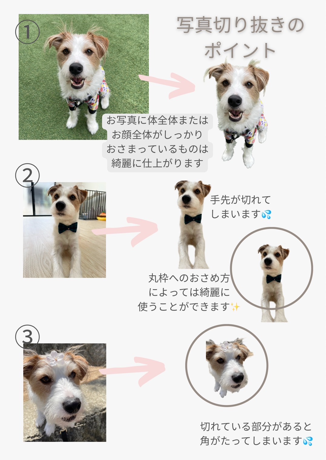 S__94617664 2