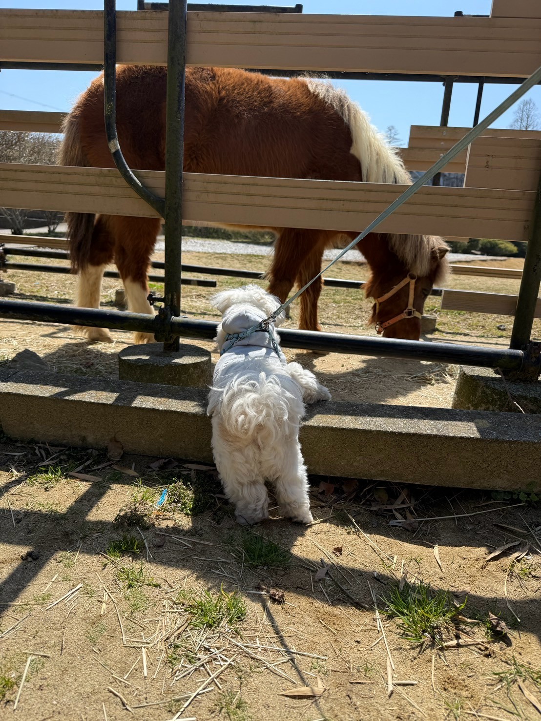 LINE_ALBUM_20250322_250323_217 2