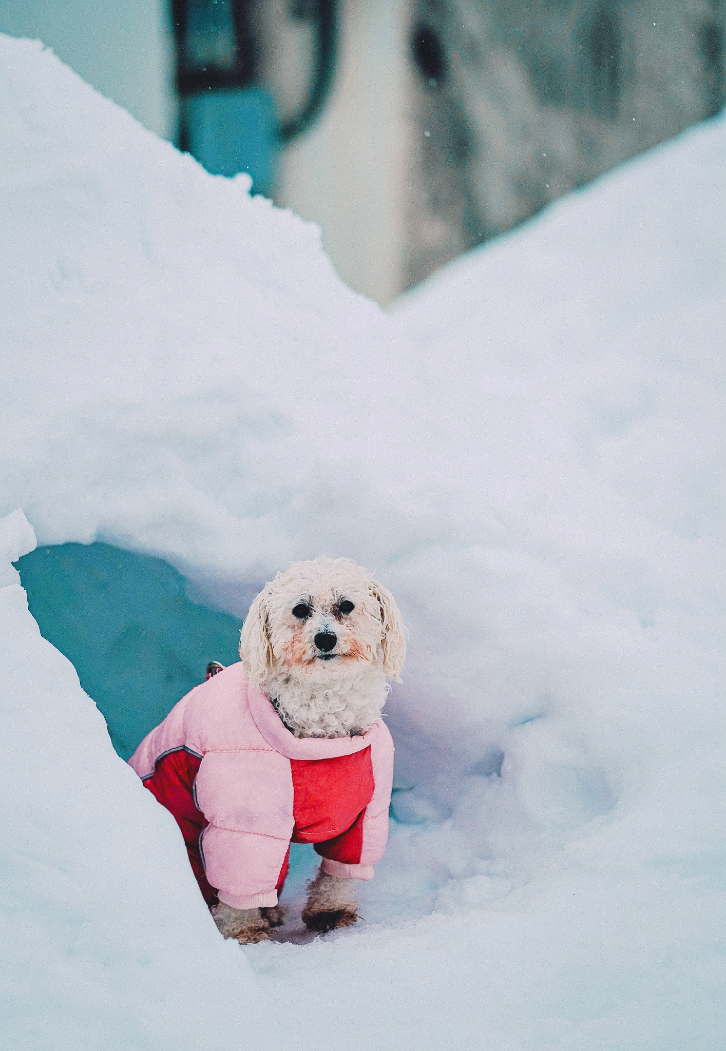 雪遊びイメージ② 2