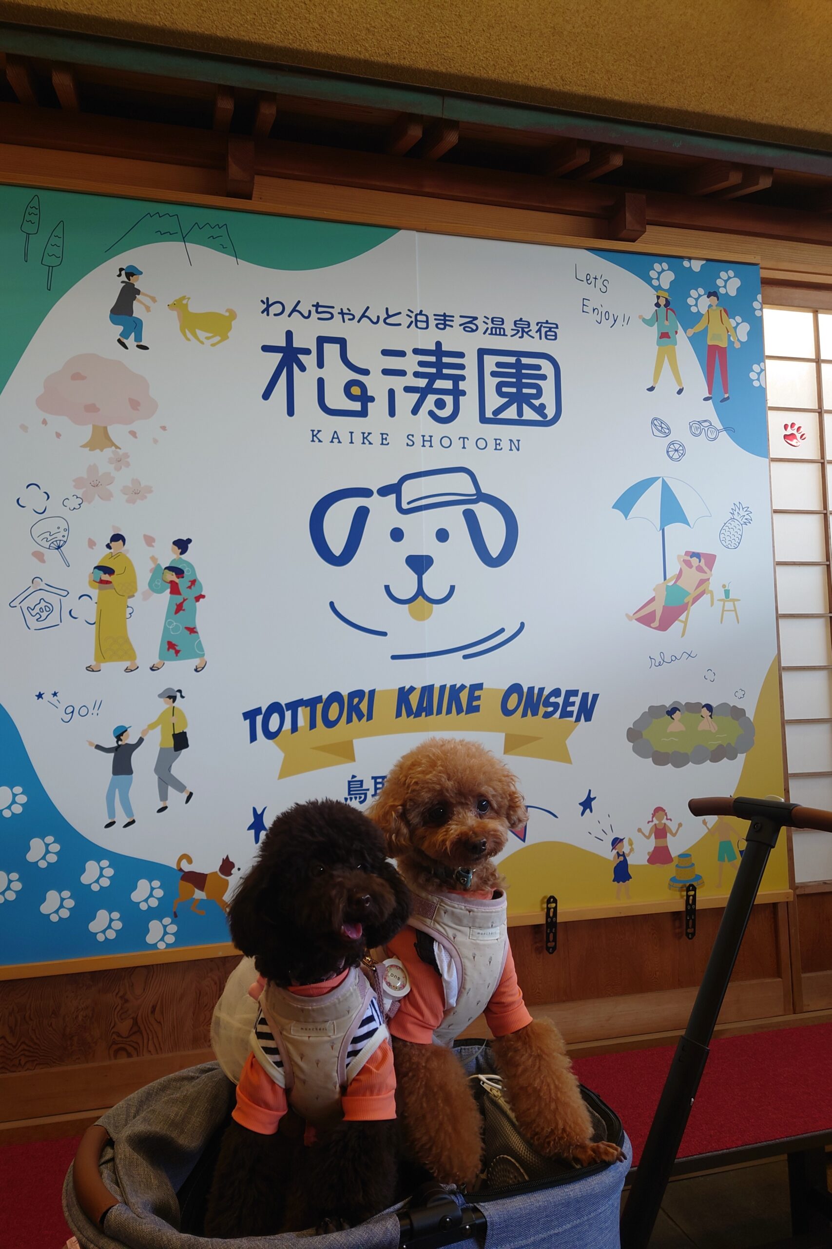 松涛園6