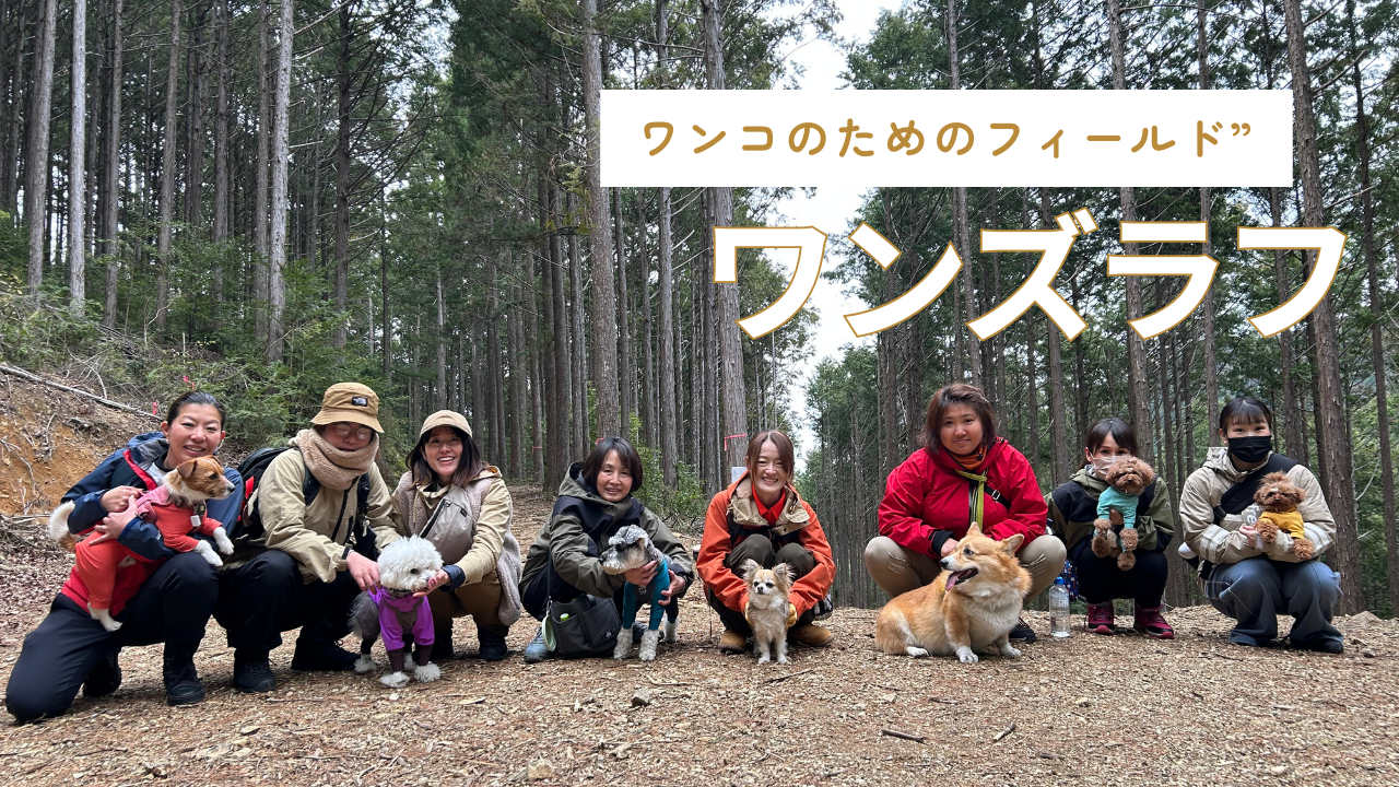 コラージュ作成用(塩見)