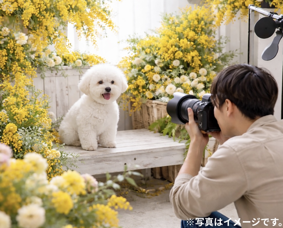 3.7写真撮影＋事前相談イベント