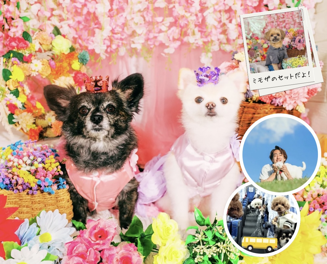 3.7写真撮影＋事前相談イベント