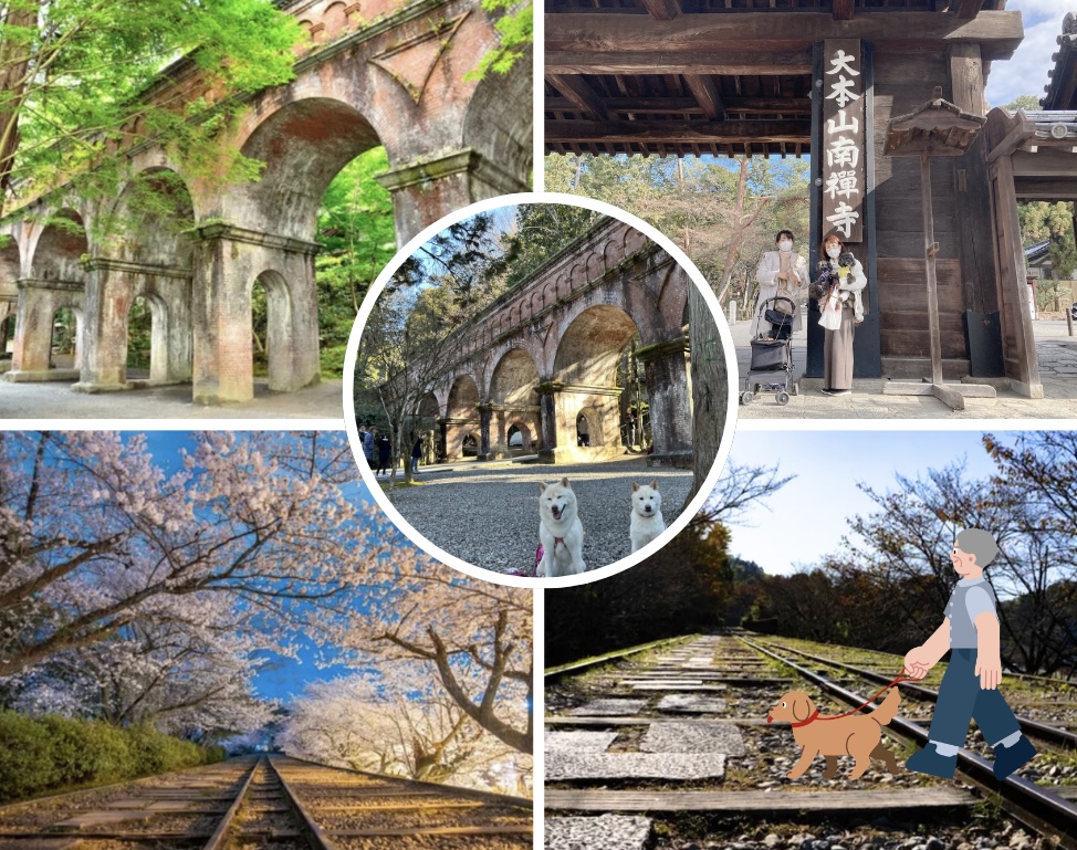 4.12春の京都ツアー – 4