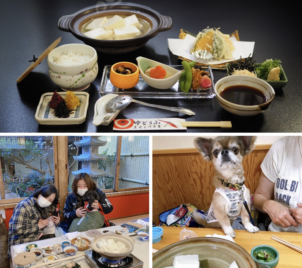 4.12春の京都ツアー – 5