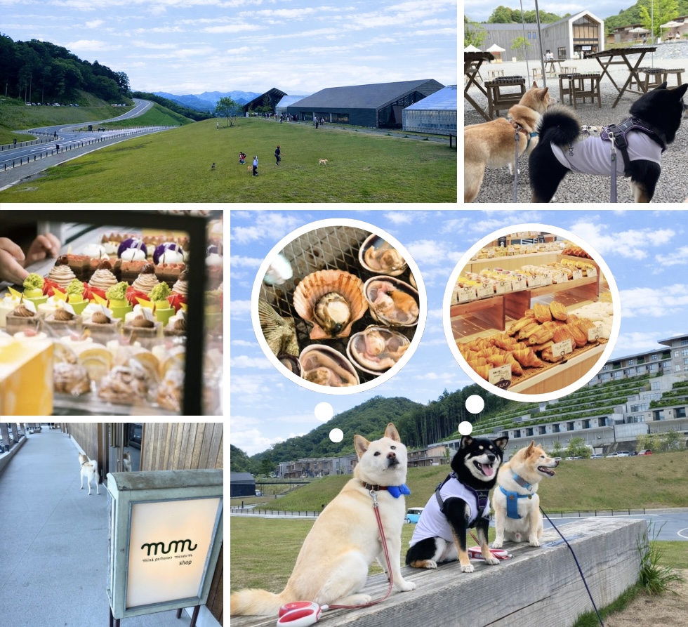5.16お伊勢ツアー – 6