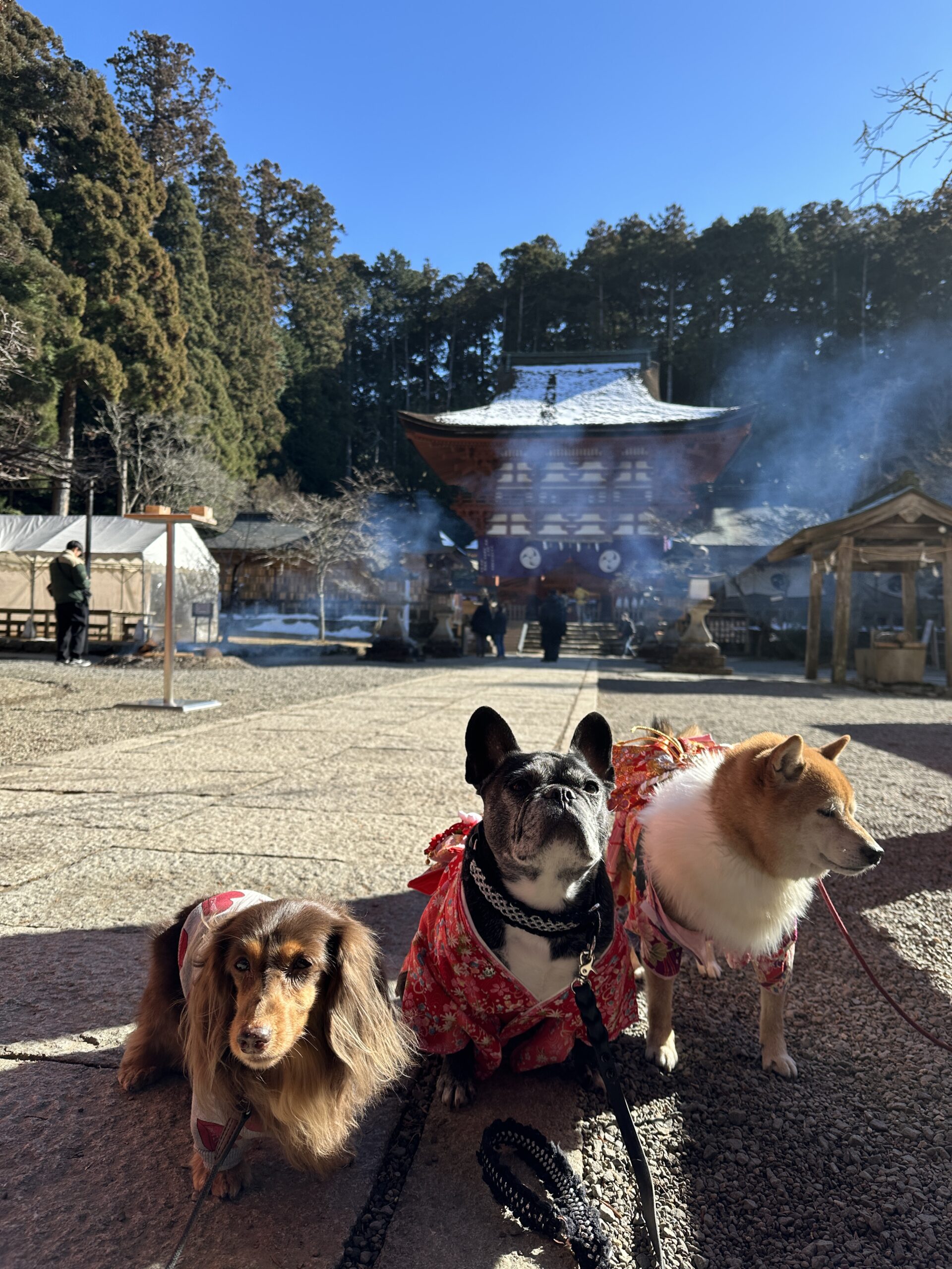 02-2犬とおでかけ
