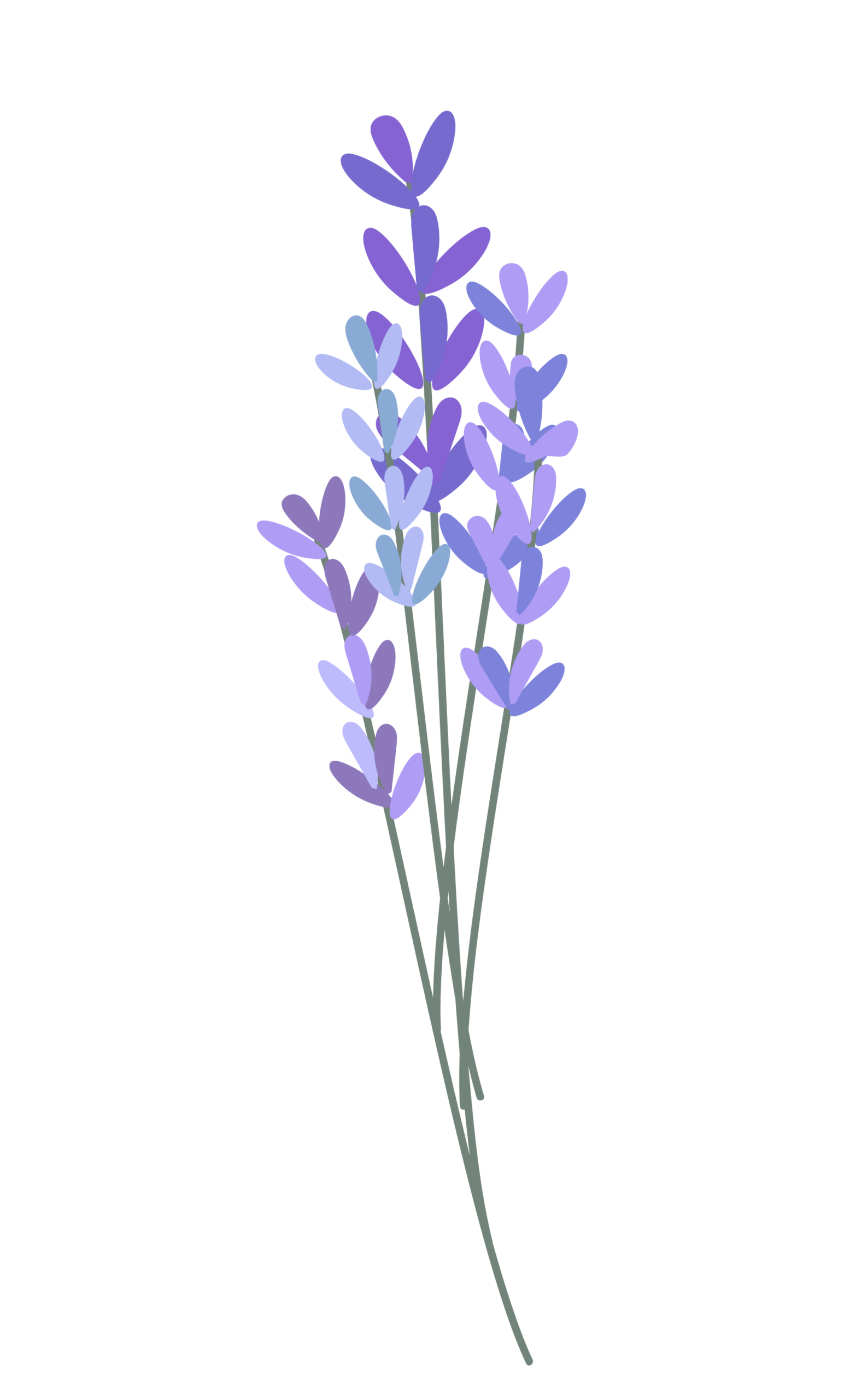 AdobeStock_485263918 [更新済み]