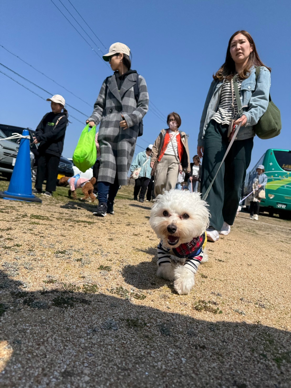 LINE_ALBUM_20250322_250323_198