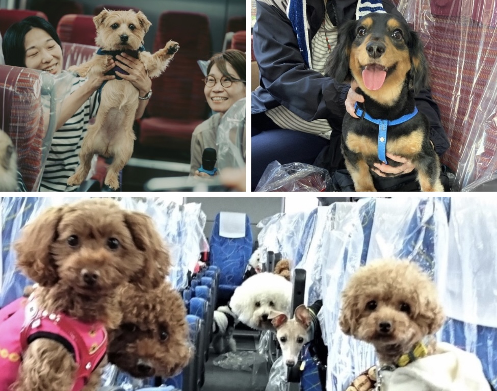 9.5六甲迎賓館🔰 – 4