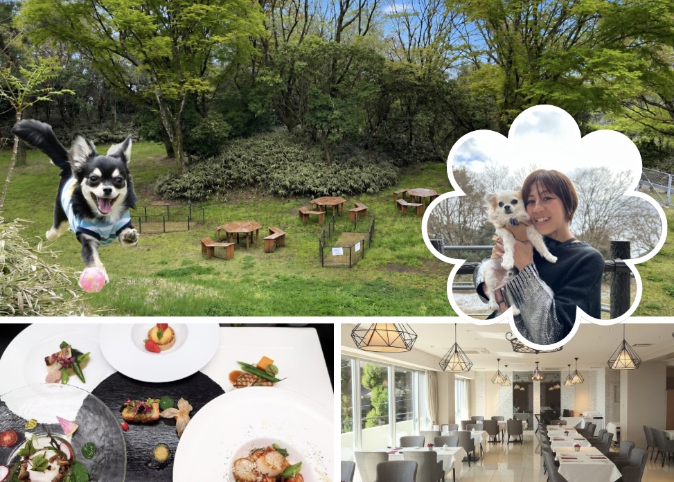 9.5六甲迎賓館🔰 – 5